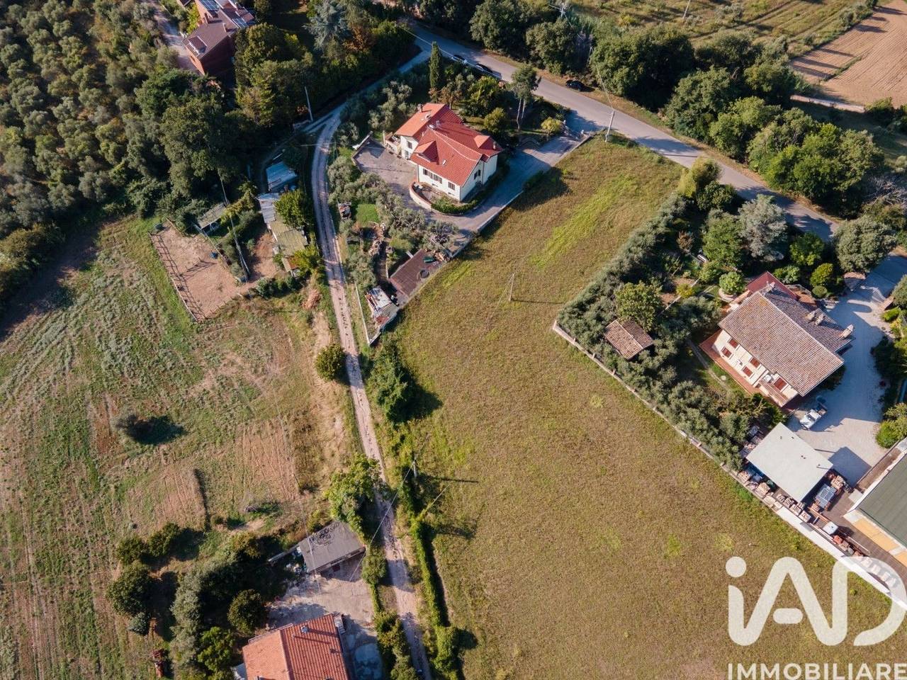 immagine annuncio 1 di 14