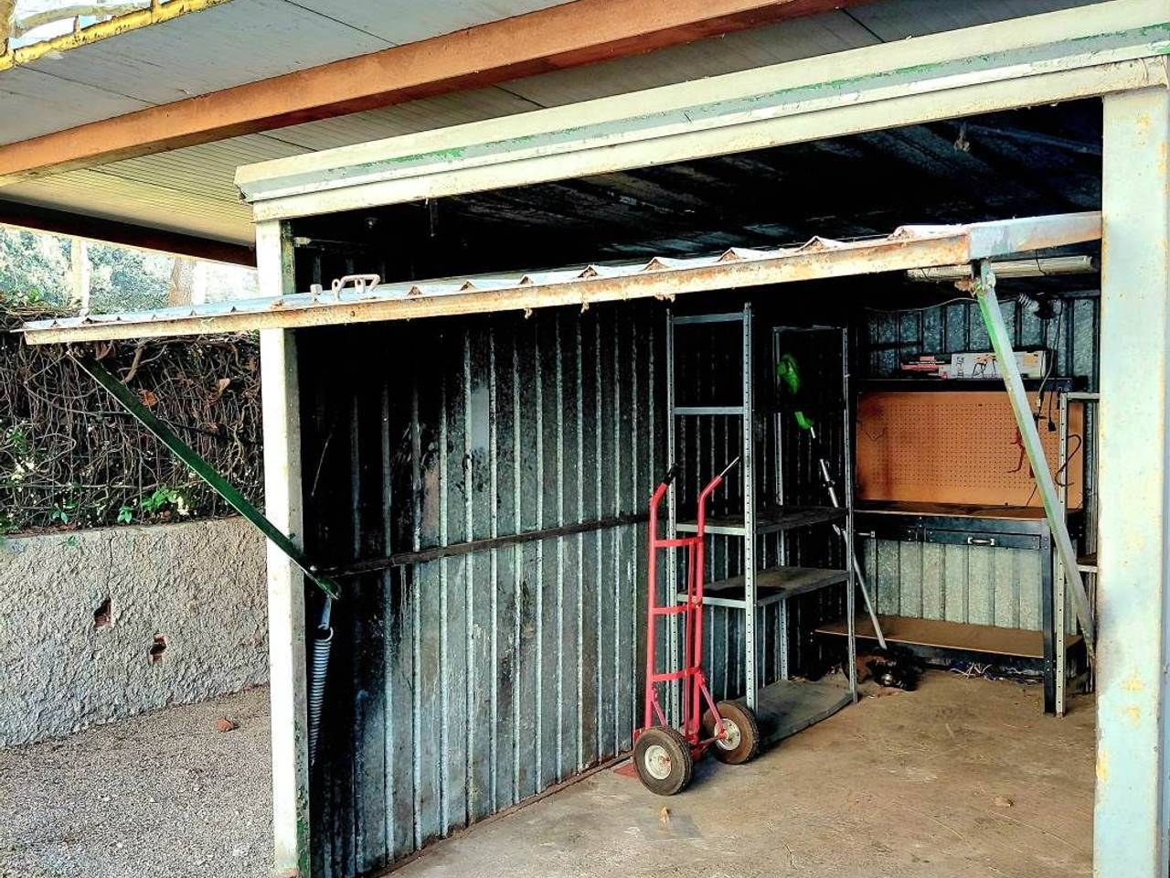 immagine annuncio 4 di 11