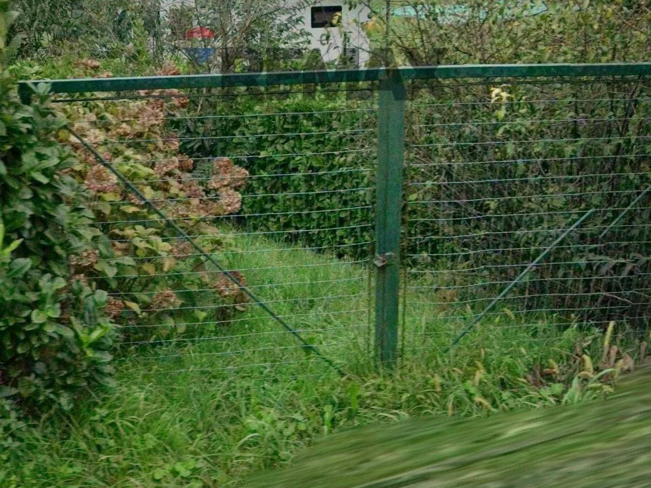 immagine annuncio 10 di 13