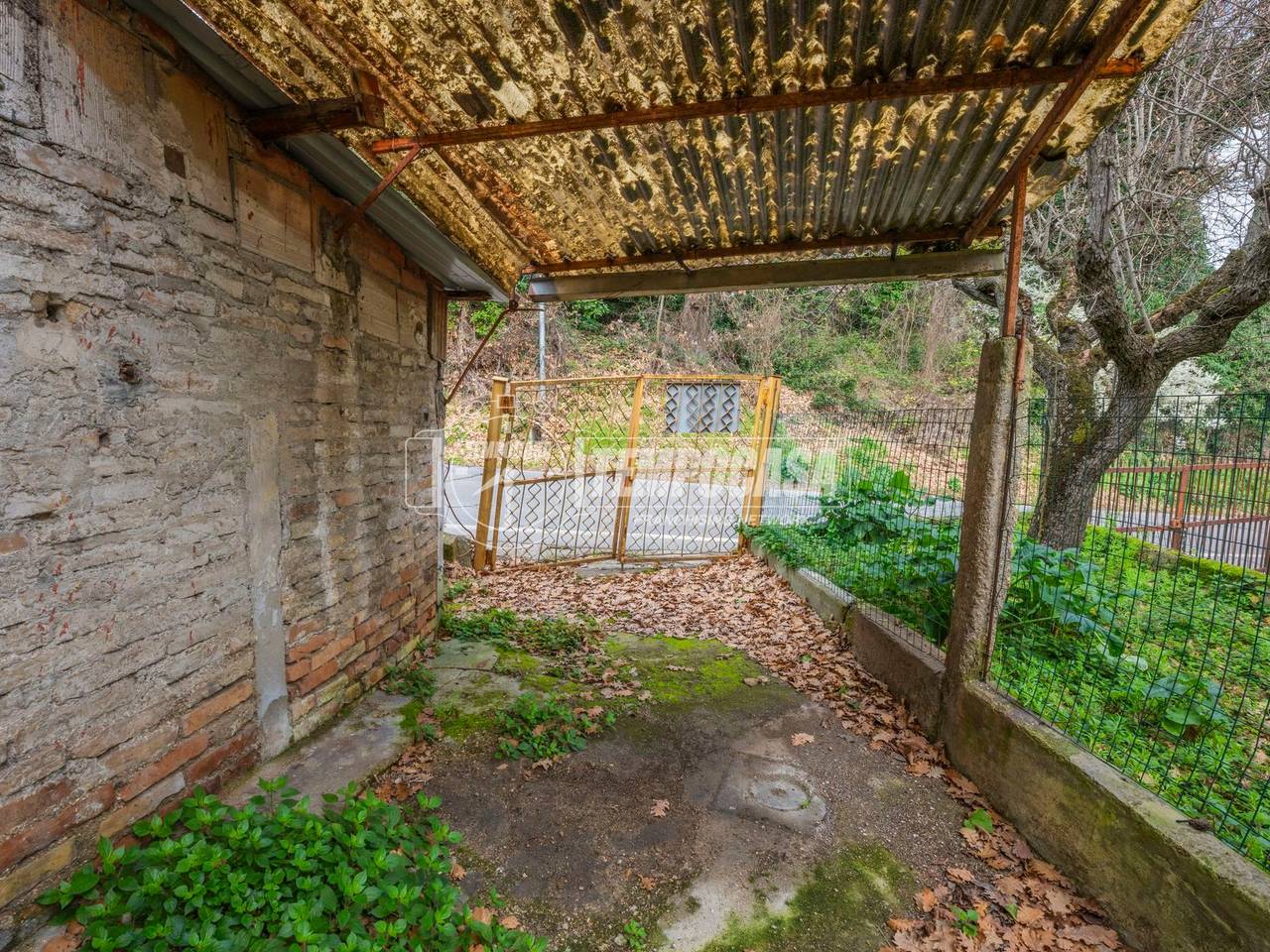 immagine annuncio 8 di 12