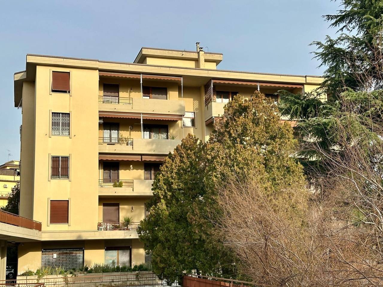 immagine annuncio 10 di 15