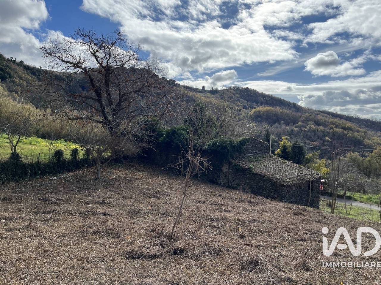 immagine annuncio 7 di 13