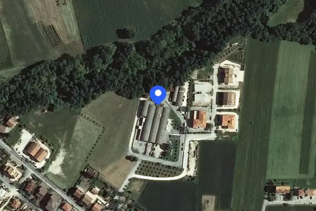 insertion image
