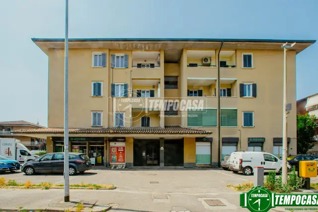 insertion image