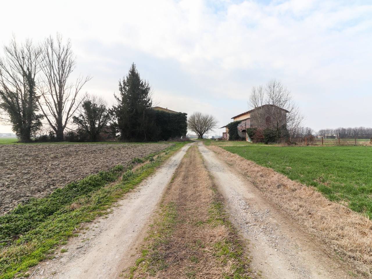 immagine annuncio 1 di 4