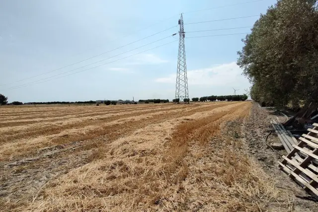 Terreno agricolo in Via San Marco in Lamis, Foggia - Foto 1