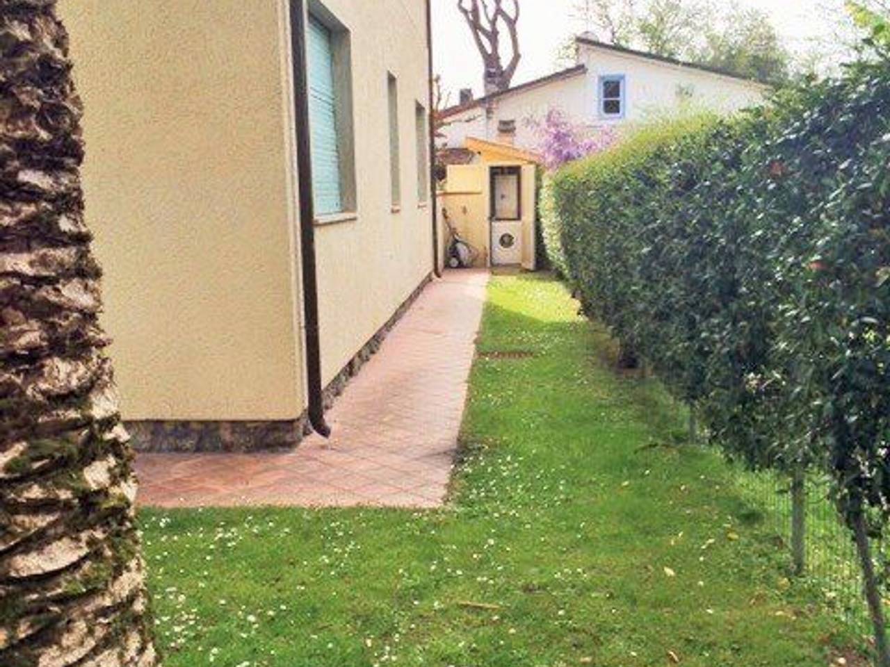 immagine annuncio 5 di 14