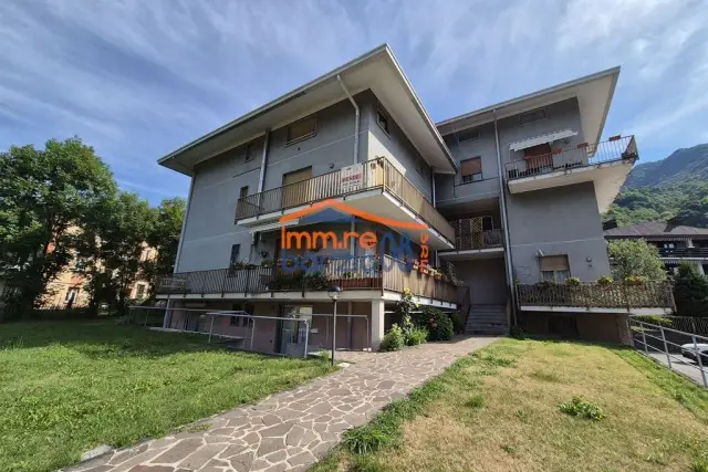 insertion image