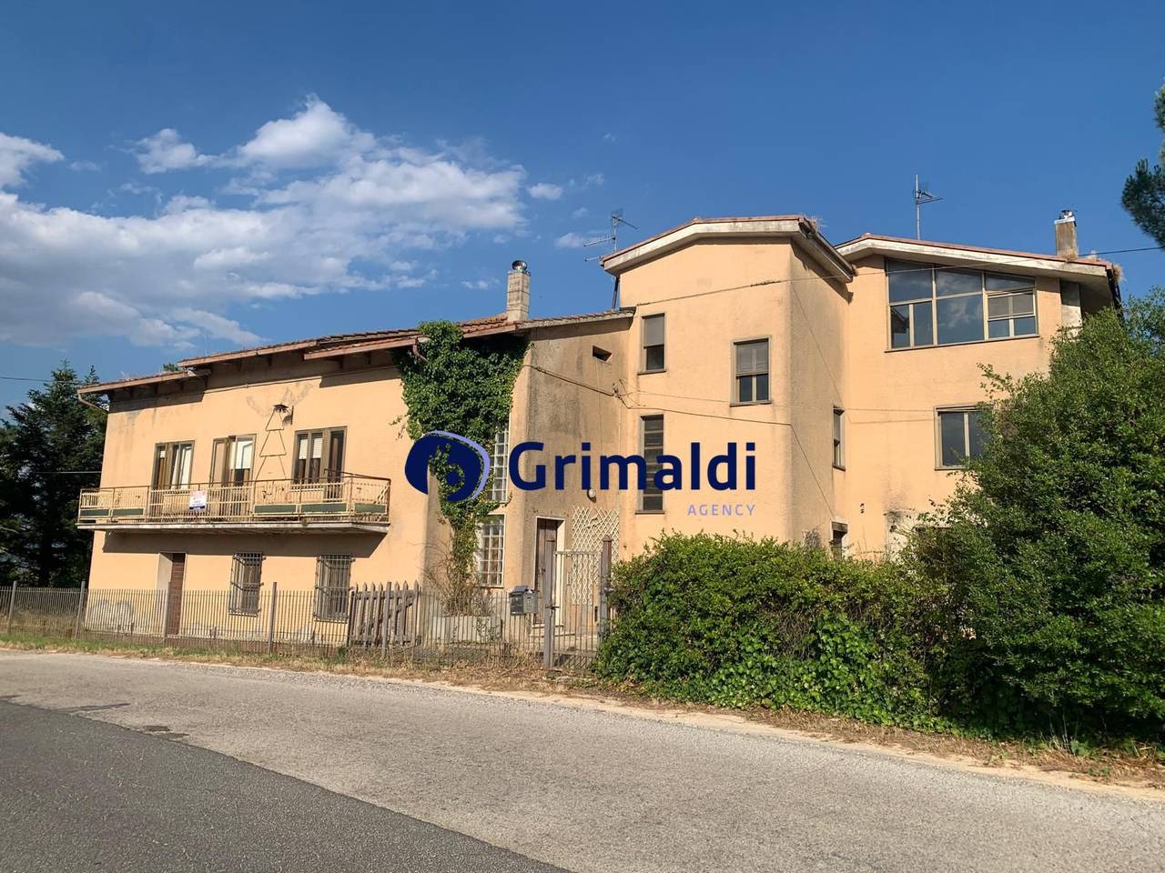 immagine annuncio 1 di 13