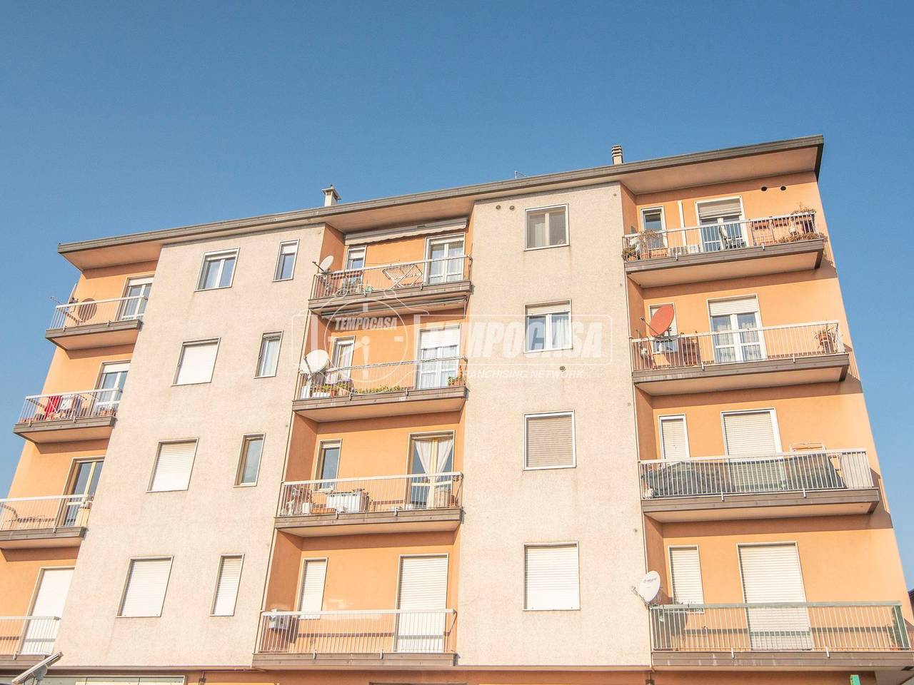 immagine annuncio 11 di 14