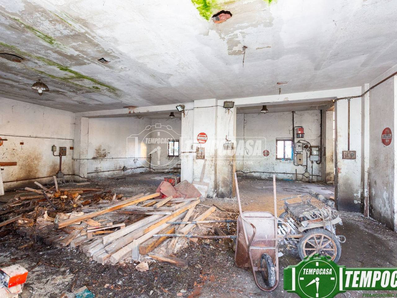 immagine annuncio 4 di 11