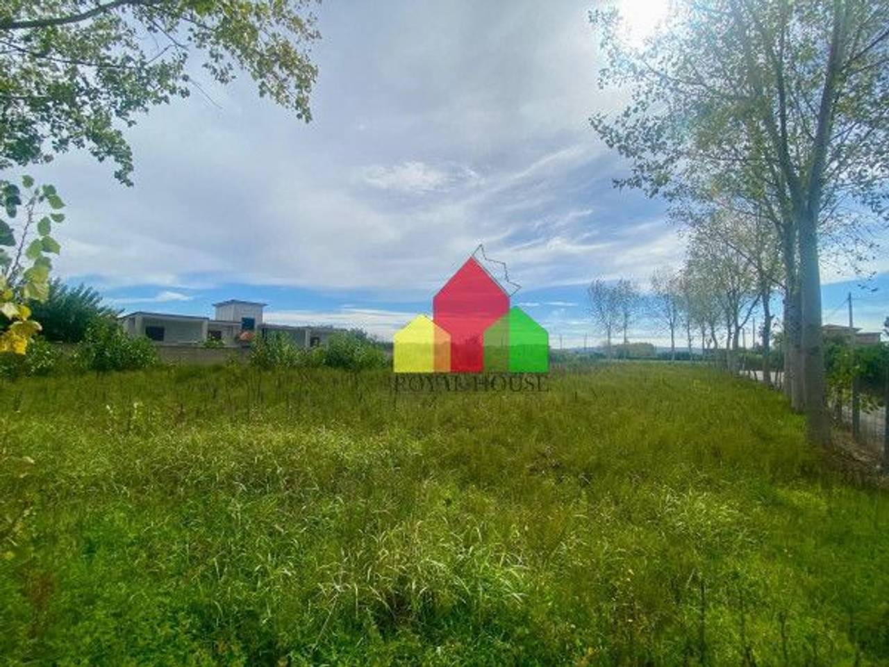 immagine annuncio 4 di 12