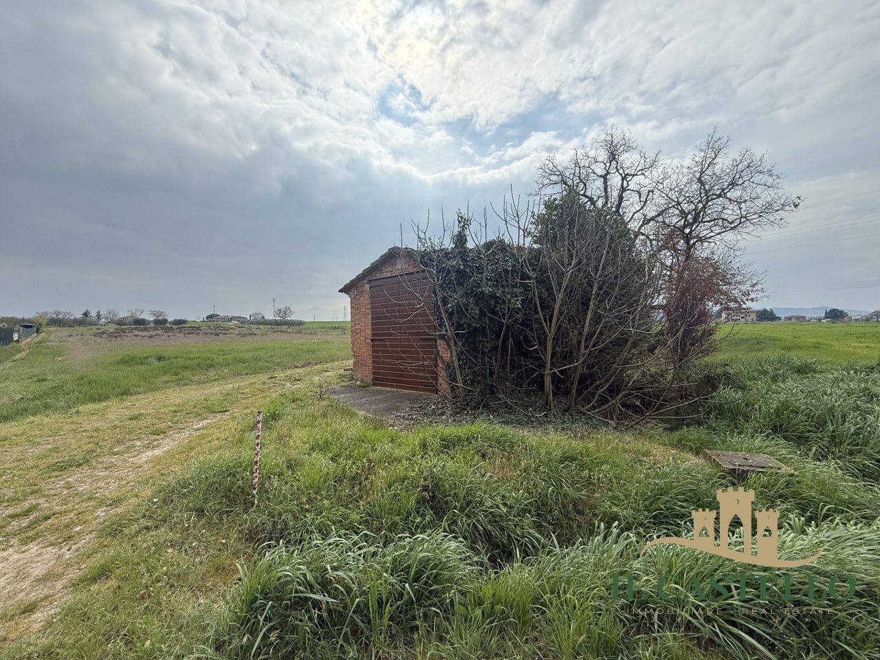 immagine annuncio 2 di 4