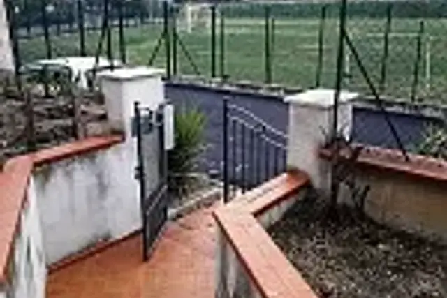 insertion image