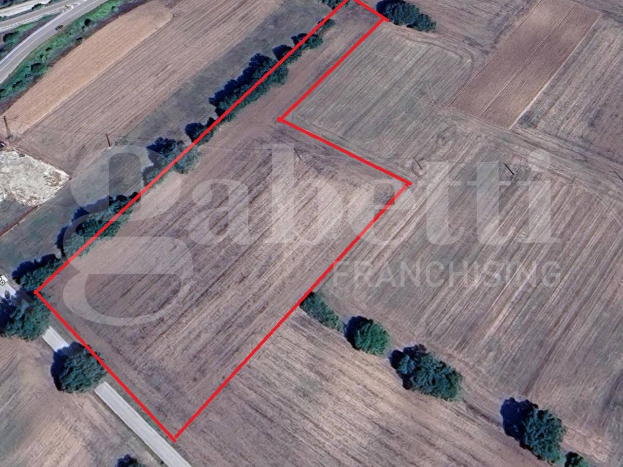 immagine annuncio 1 di 4