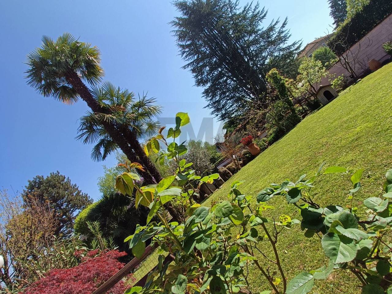 immagine annuncio 5 di 11