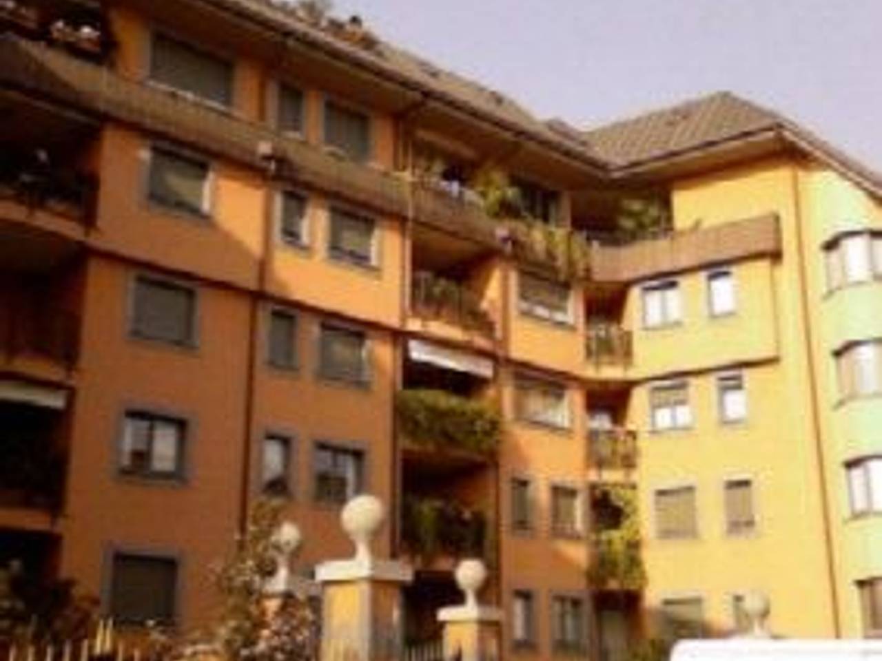 immagine annuncio 1 di 12