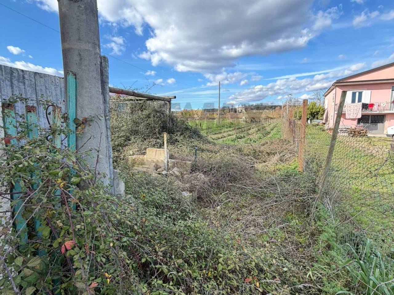 immagine annuncio 7 di 8