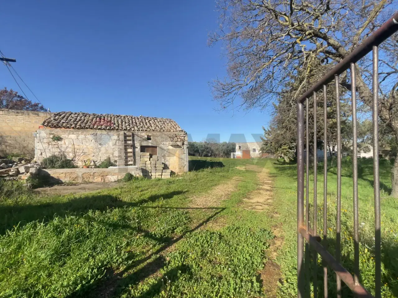 Azienda agricola in , Santeramo In Colle, {3} - Foto 2