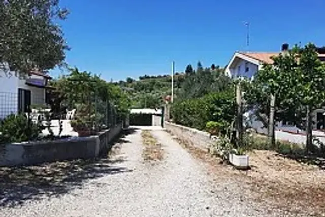 insertion image