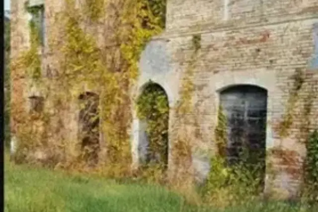 insertion image