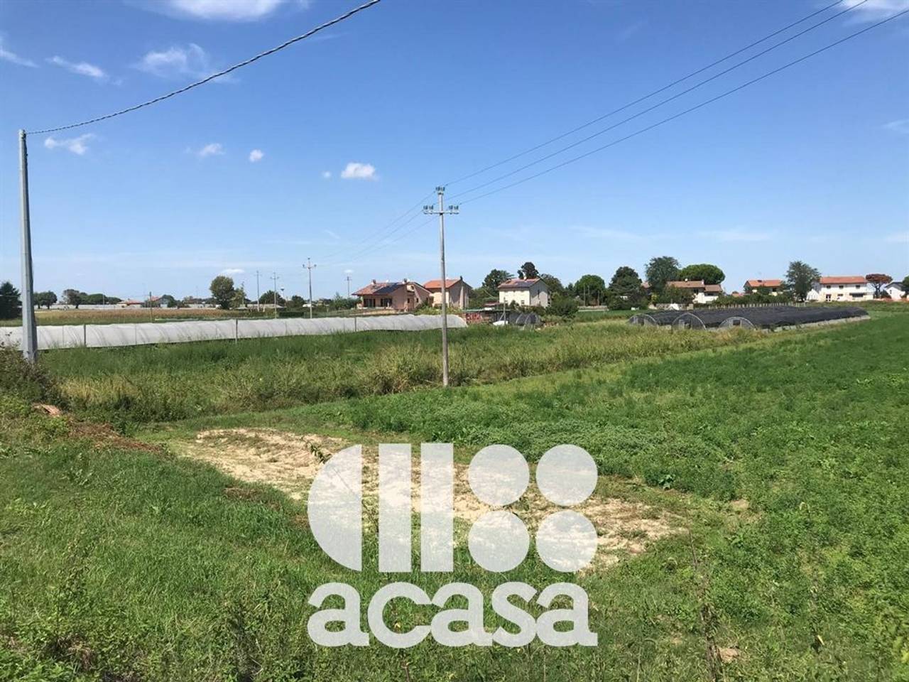 immagine annuncio 5 di 8