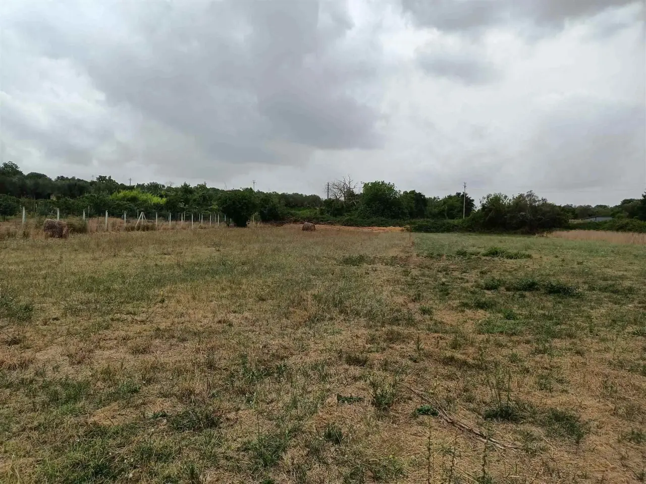 Azienda agricola in  Marta, Marta, {3} - Foto 2