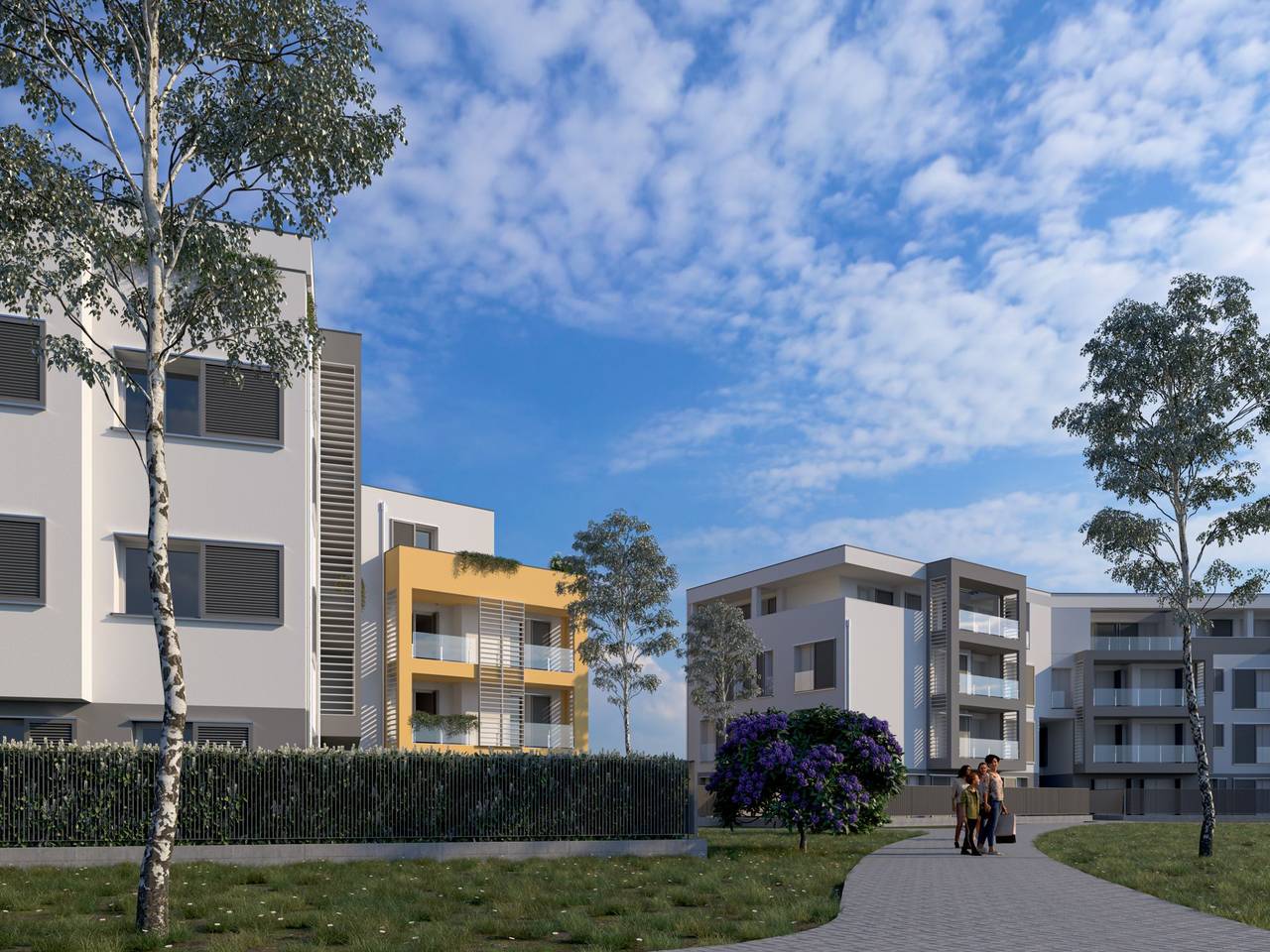 immagine annuncio 3 di 15