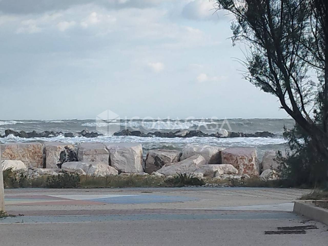 immagine annuncio 5 di 6