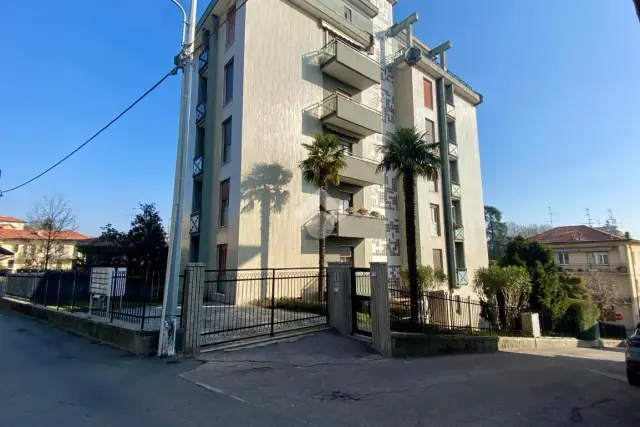 insertion image