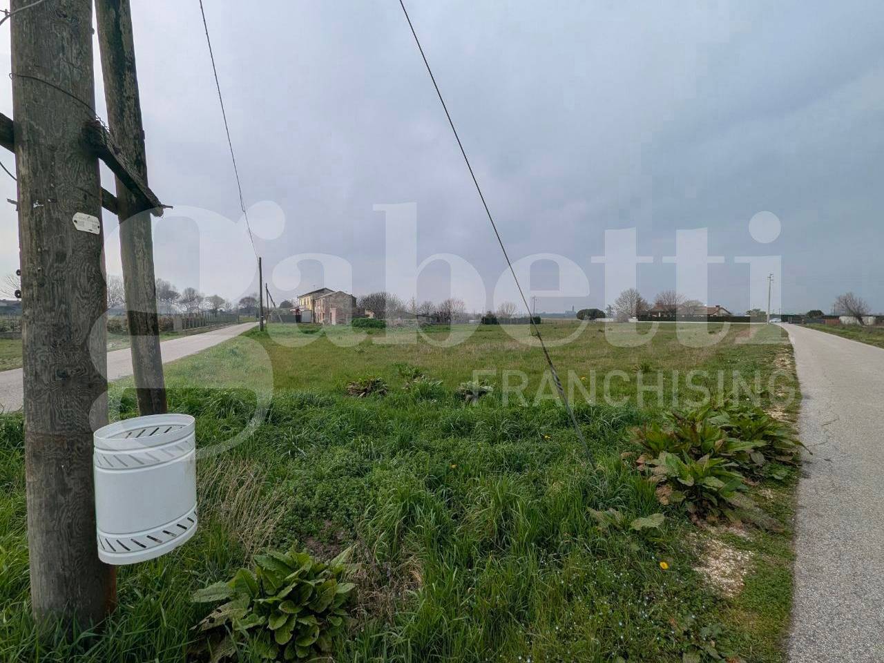 immagine annuncio 5 di 8