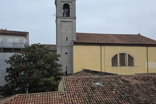 insertion image