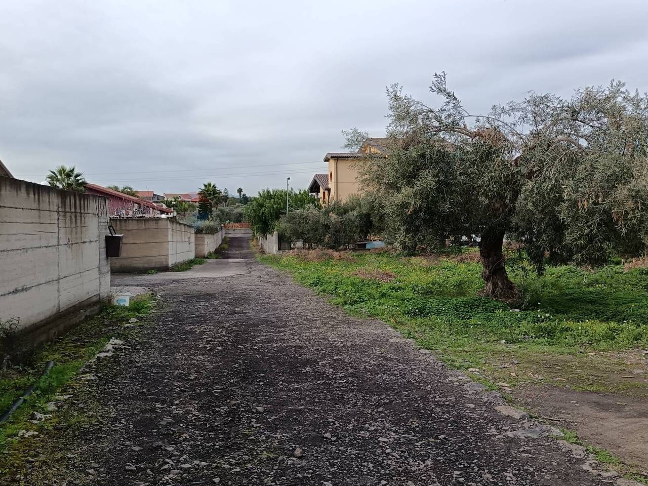 immagine annuncio 7 di 9