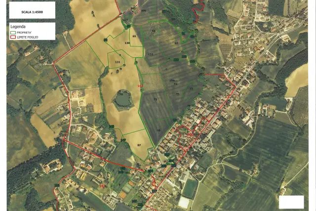 insertion image