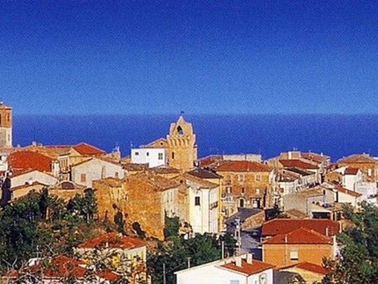 immagine annuncio 12 di 14