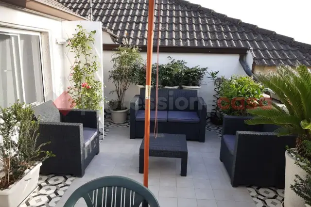 insertion image