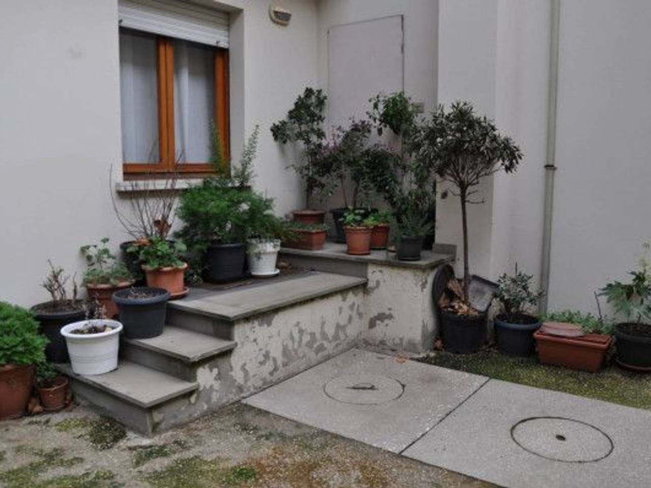 immagine annuncio 11 di 14