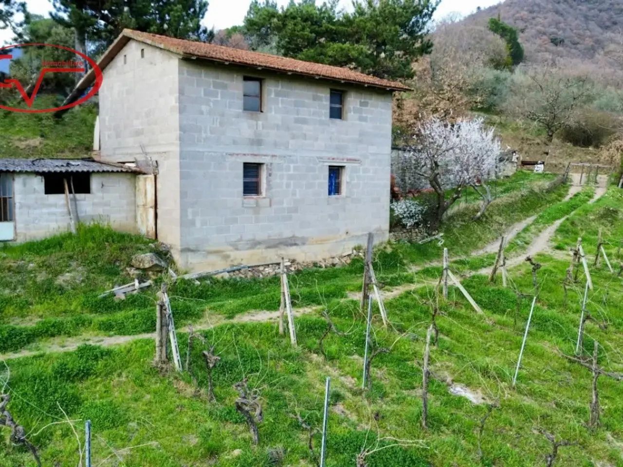 Magazzino in Strada Vicinale di Faeto, Loro Ciuffenna, {3} - Foto 2