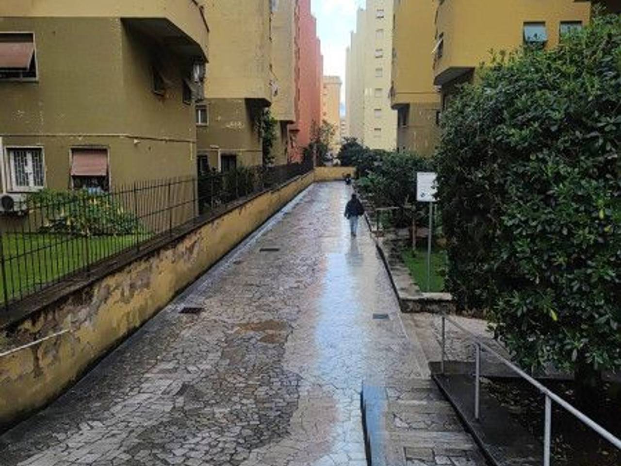 immagine annuncio 6 di 13