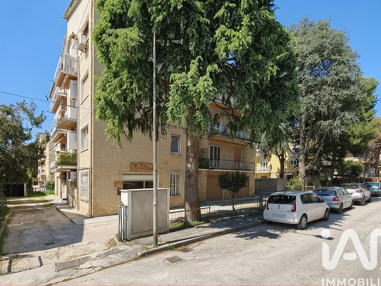 immagine annuncio 12 di 15