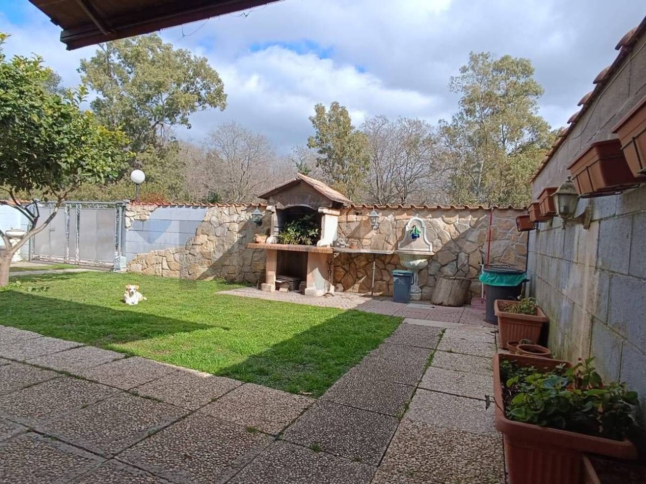 immagine annuncio 9 di 15