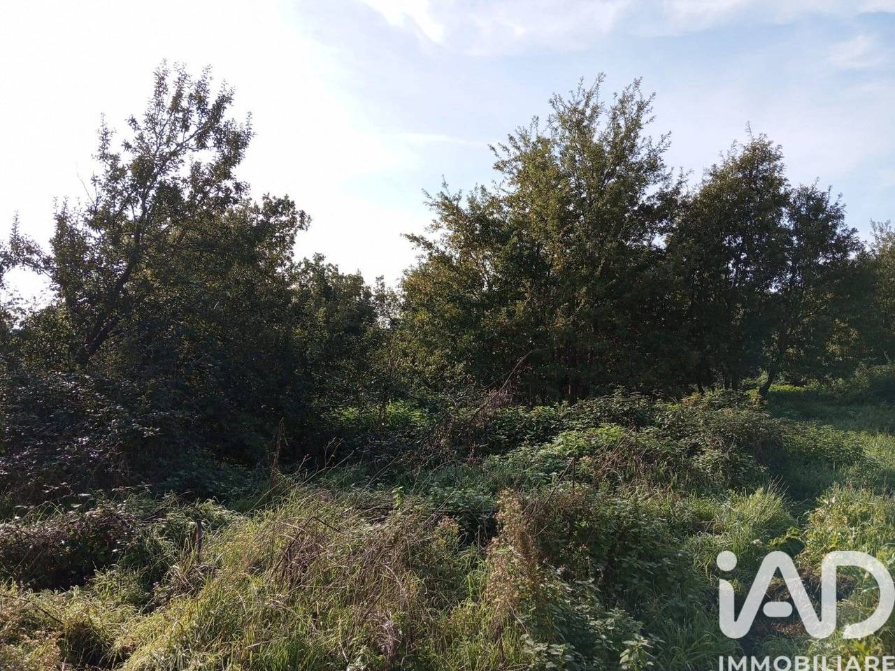 immagine annuncio 7 di 9