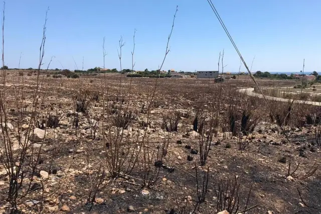 Terreno agricolo, Pachino - Foto 1