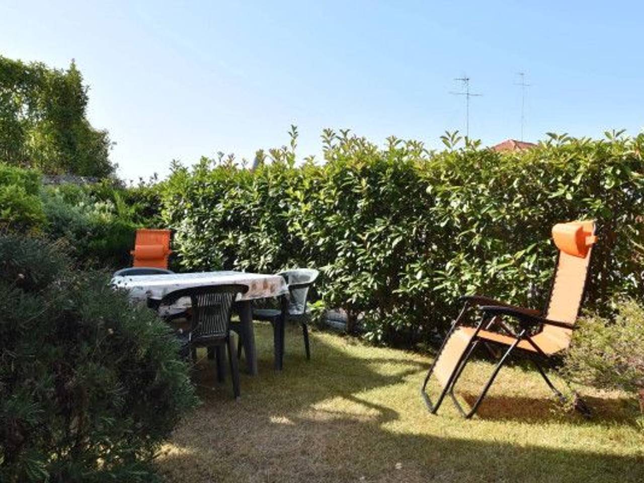 immagine annuncio 1 di 12