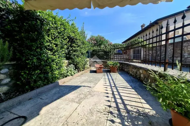insertion image