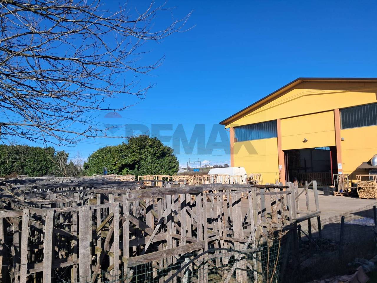 immagine annuncio 12 di 15