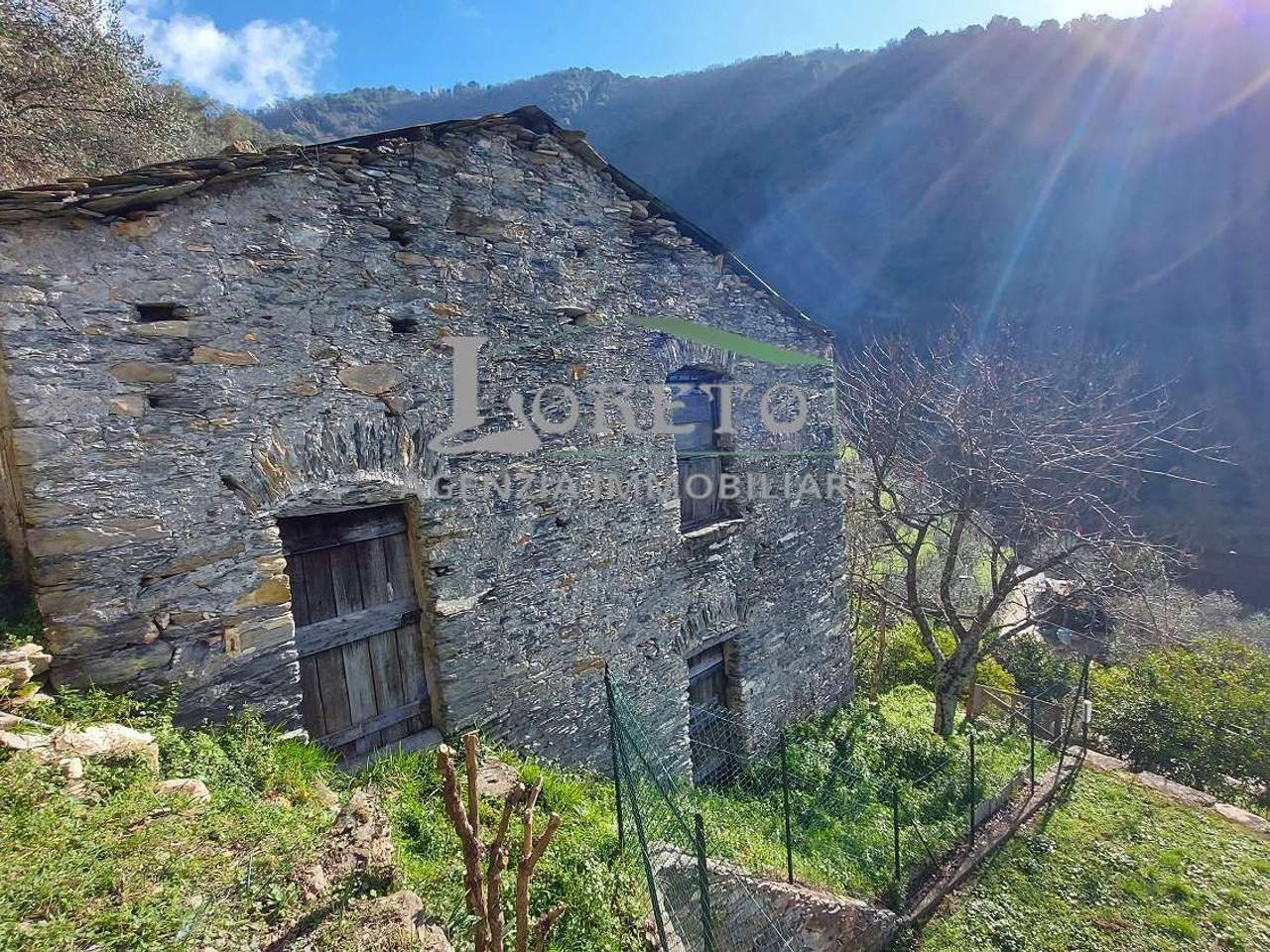 immagine annuncio 2 di 6