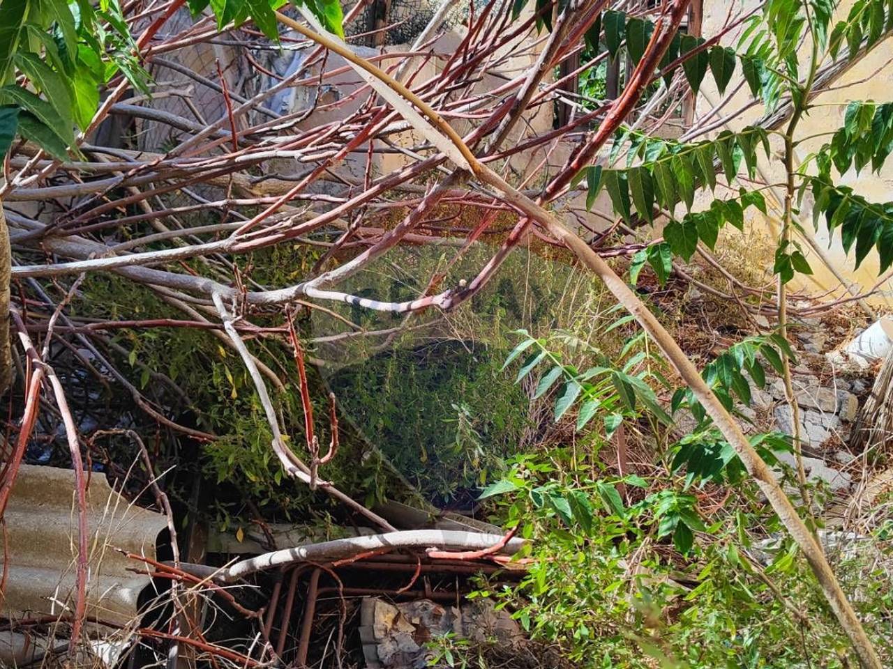 immagine annuncio 9 di 14