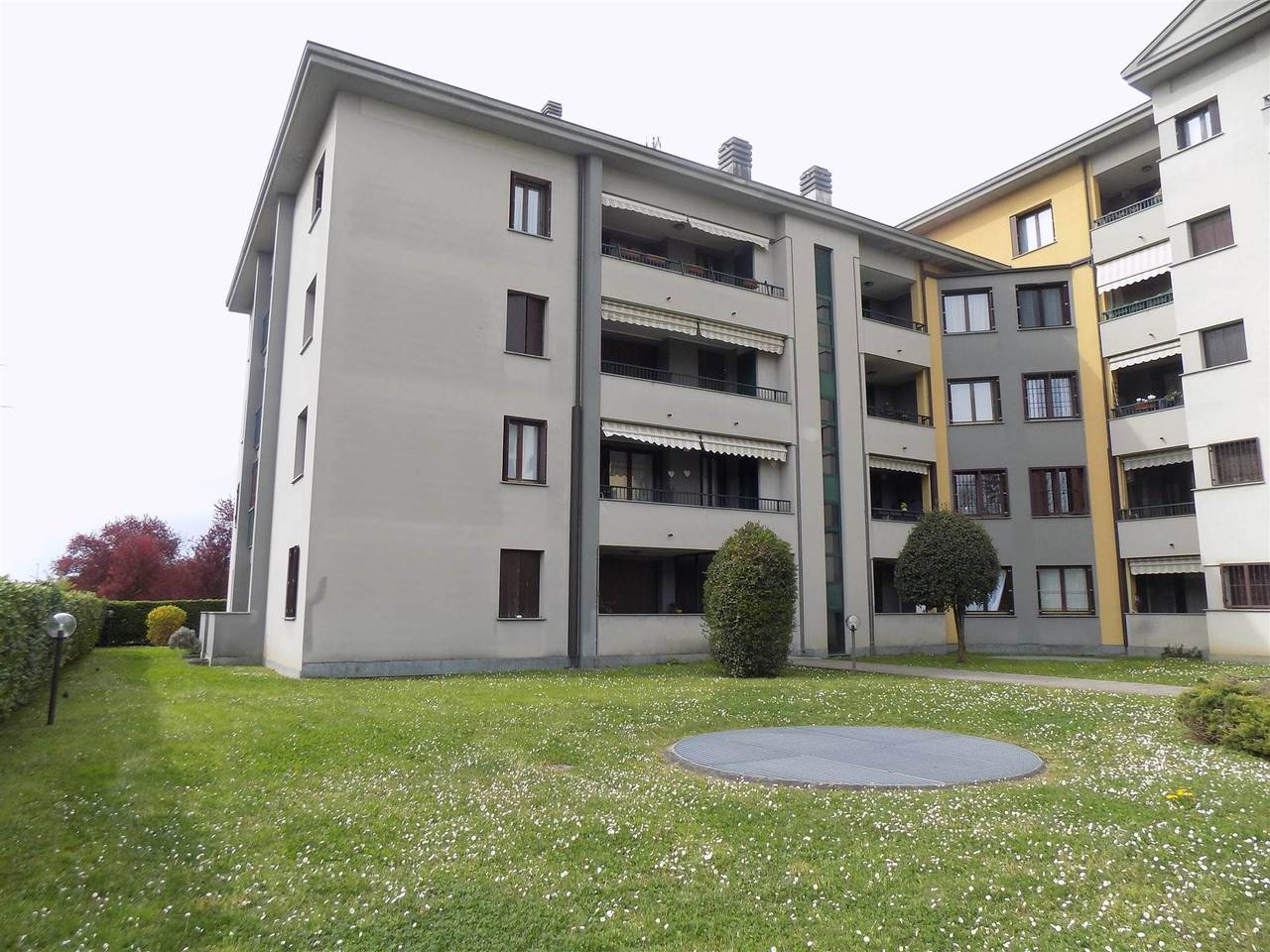 immagine annuncio 1 di 15