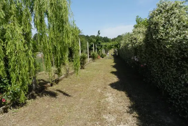 Terreno agricolo in Via Isola della Maddalena, Lanuvio - Foto 1